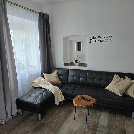 Cvikov - Bezbarierove Studio Elena Apartment Česká Lípa Bagian luar foto