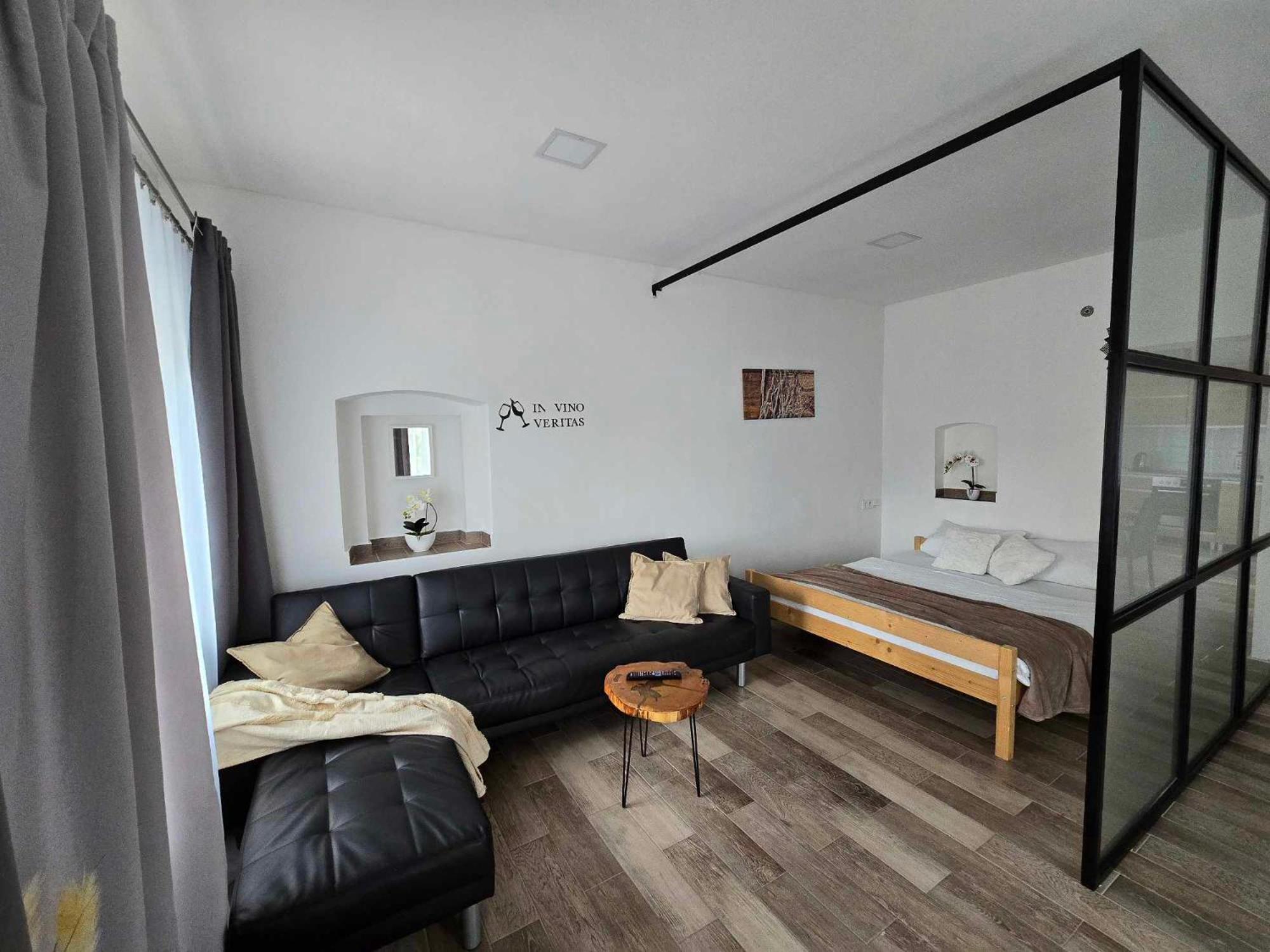 Cvikov - Bezbarierove Studio Elena Apartment Česká Lípa Bagian luar foto